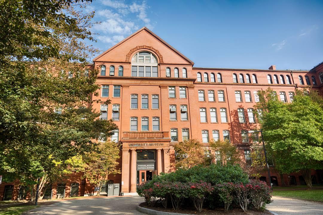 The Harvard Museum of Natural History