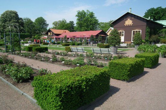 Botaniska Trädgården