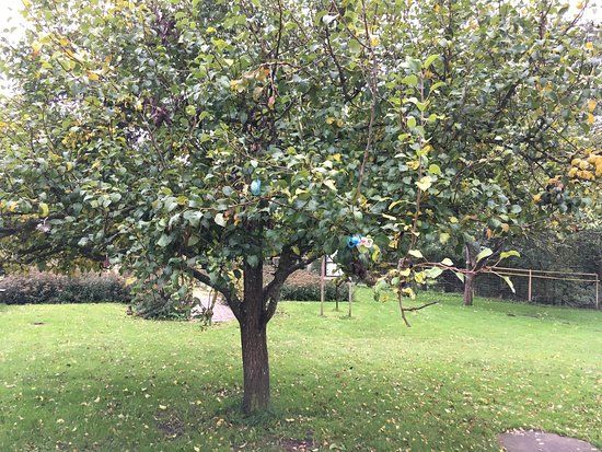 Stadsbondgården Olofstorp