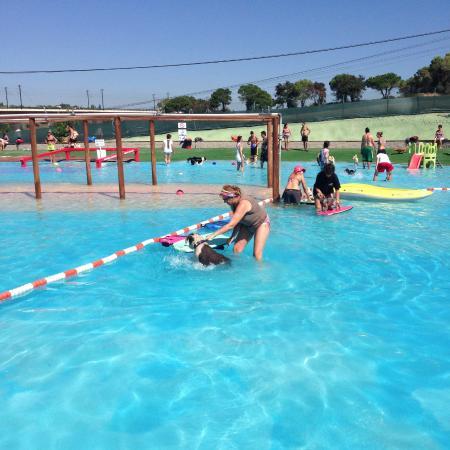 Resort Canino Can Jane