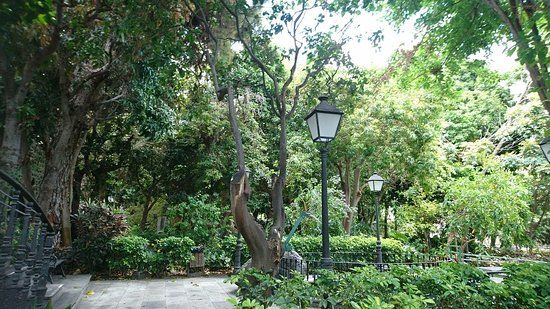 Agaetes botaniska trädgårdar