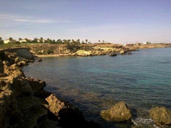 The Cove