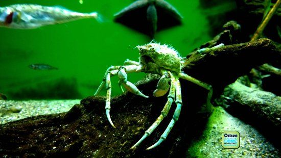 Baltiska aventyrsparken och havstornet