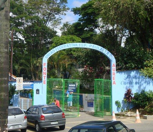 Fonte De Agua Viva Salgados