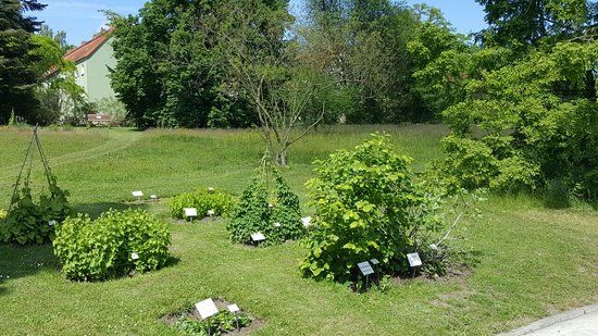 Botanical Garden University of Rostock