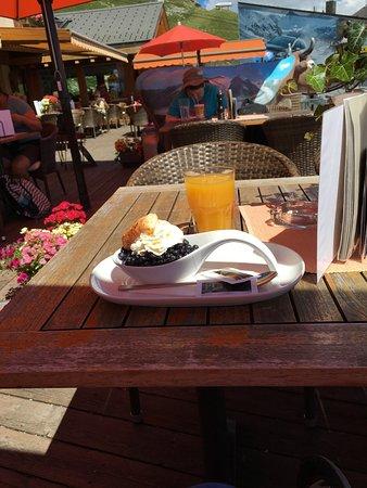 Hotel-REstaurant Alpina