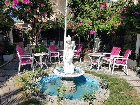 Parrot Cafe Bar
