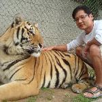 Disconnect Sports Bar