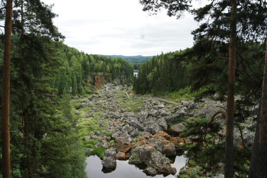 Döda Fallet Naturreservat