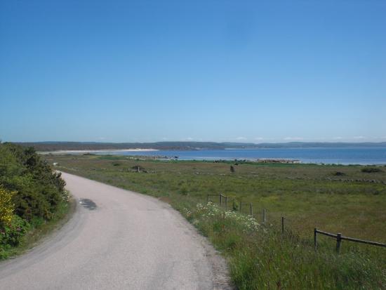 Grimsholmen Naturreservat