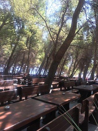 Bluesun Hotel Elaphusa