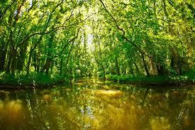 Baltata nationalpark