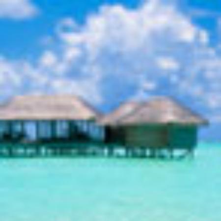 Restaurant Alpenhotel Fischer