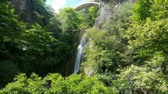 Tbilisis botaniska trädgård