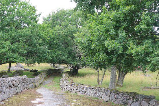 Eriksberg Vilt & Natur