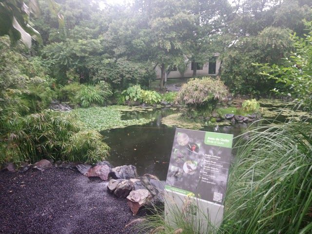 Quitos botaniska trädgård