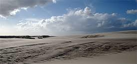 Natural history museum Skagen