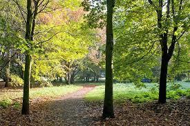 Gehölzgarten Ripshorst