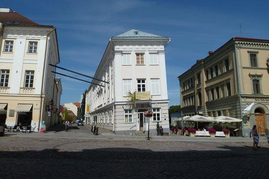 Tartu konstmuseum