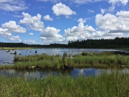 Ekopark Halle- och Hunneberg