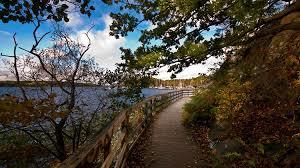 Grimsta naturreservat