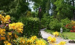 Tartu universitets botaniska trädgård