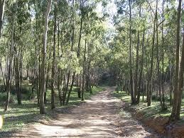 Monte della Ganzaria