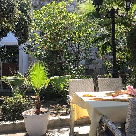 Kamelia Restaurant-Cafe