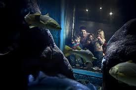 Havets Hus i Lysekil