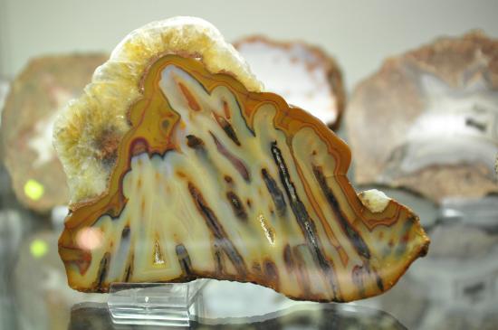 Museum of Earth in Kletno