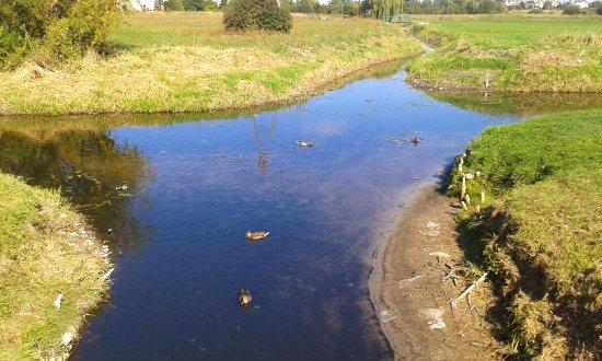 Skrzyżowanie rzek w Wągrowcu