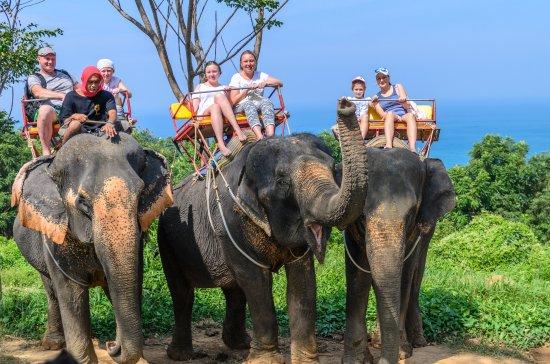 Kok Chang Elefantsafari