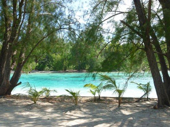 Tiahura strand