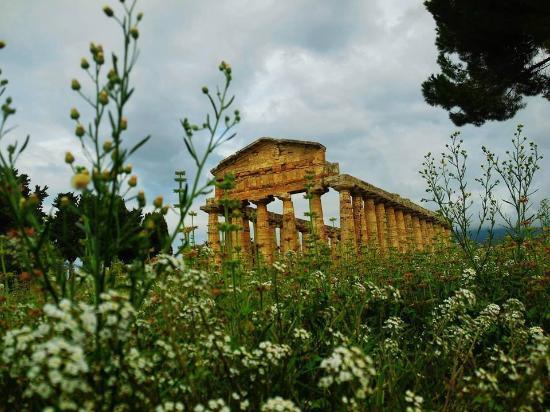 Arkeologiska nationalmuseet i Paestum