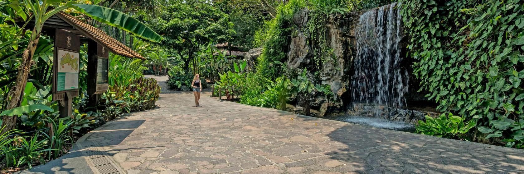 Botaniska trädgården i Singapore