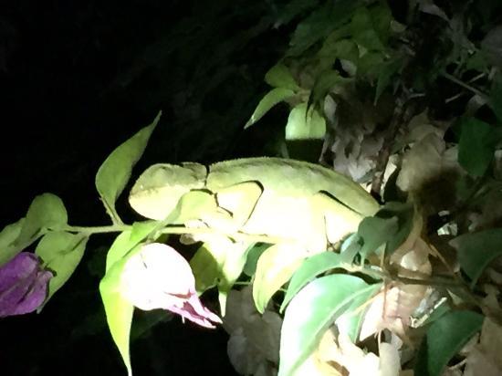 Jardín Botanico Celestino Mutis