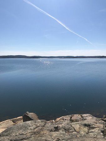 Särö Västerskog Naturreservat
