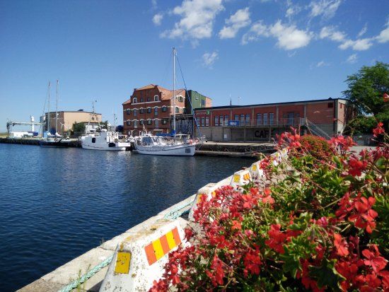 Simrishamns småbåtshamn