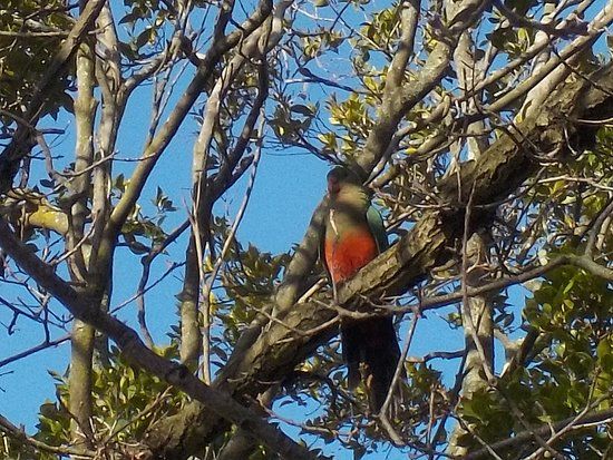 Mullum Mullum Reserve
