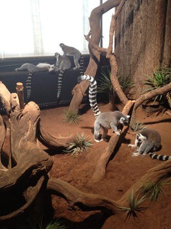 Tropikariet I Helsingborg AB