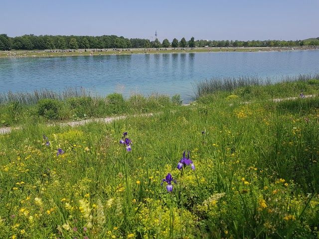 Riemer See