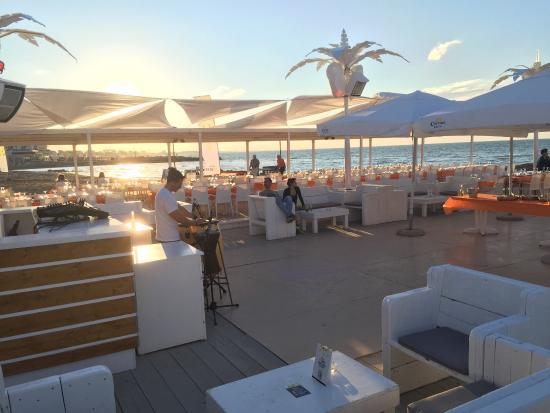 Malindi Beach Cafe