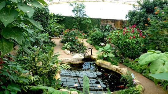 Benalmádenas fjärilspark