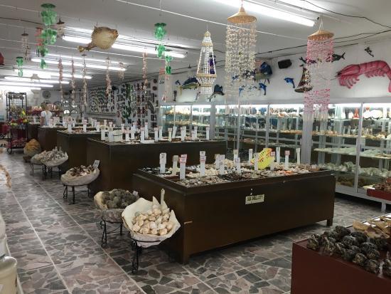 Sea Shell City-museet