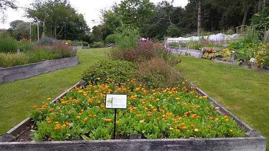 Stavangers botaniska trädgård