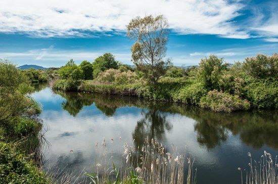 Parco Fluviale del Padrongianus