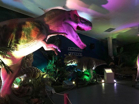 Tin Marín Museo de los Niños