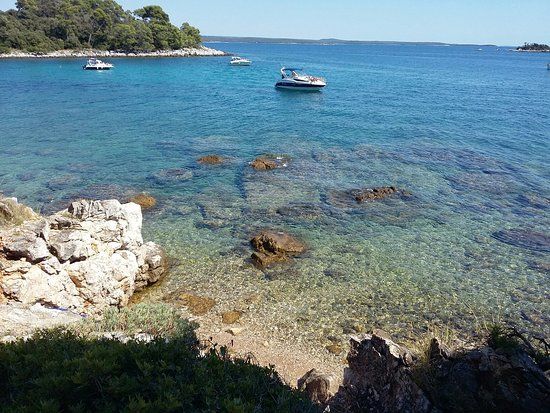 Punta Corrente skogspark