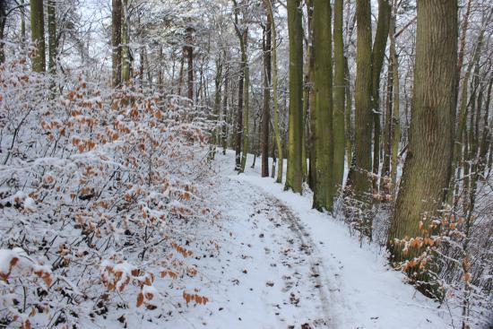 Trojmiejski Landscape Park