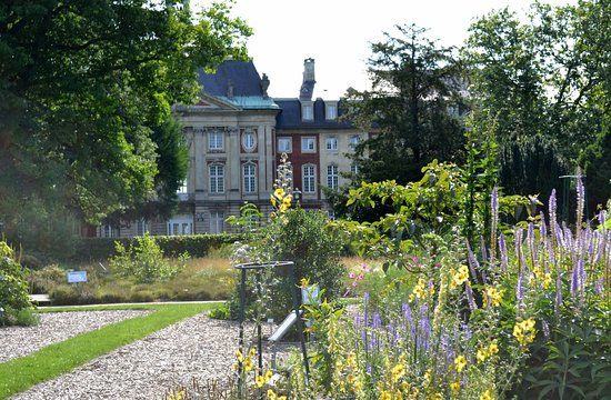 Botaniska trädgården i Münster